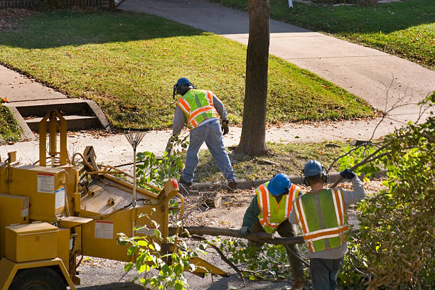 Best Lawn Watering Services  in Wolf Trap, VA